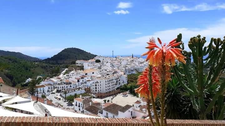 Apartamento Del Sol Frigiliana Zewnętrze zdjęcie
